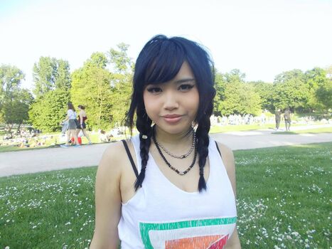 Adavoid7 page 2 image