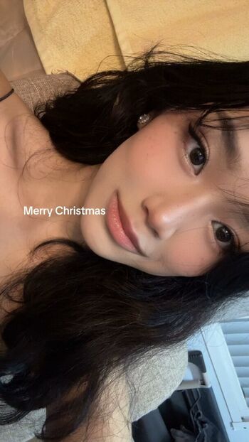 Aebie estojero image