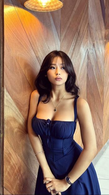 Aebie estojero image