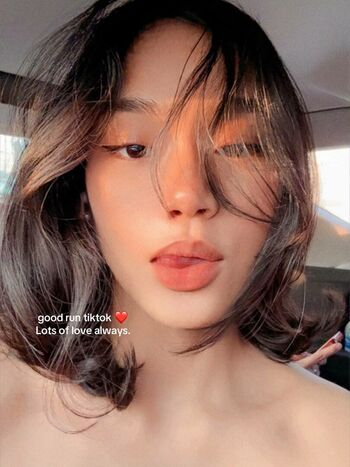 Aebie estojero image