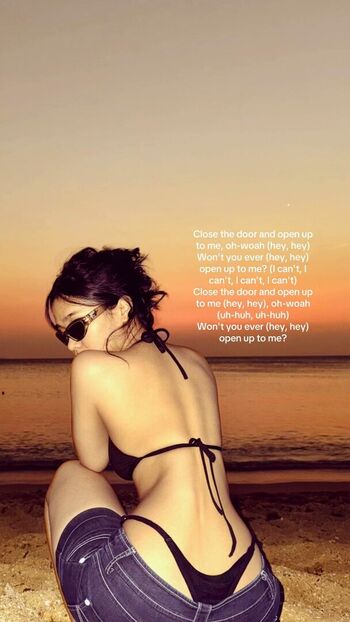 Aebie estojero image