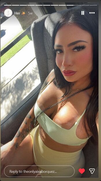 Aixa borquez image