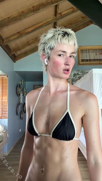 Aleandrafrerk image