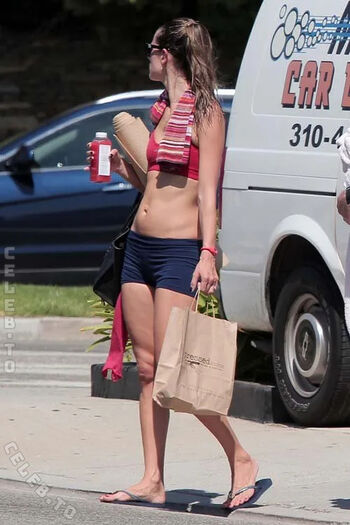 Alessandra ambrosio 1 page 2 image