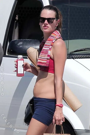 Alessandra ambrosio 1 page 2 image