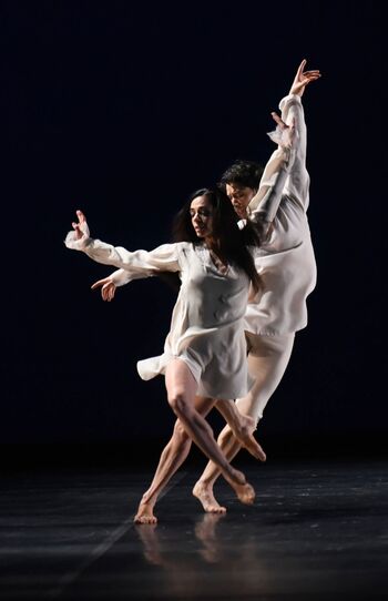 Alessandra ferri image