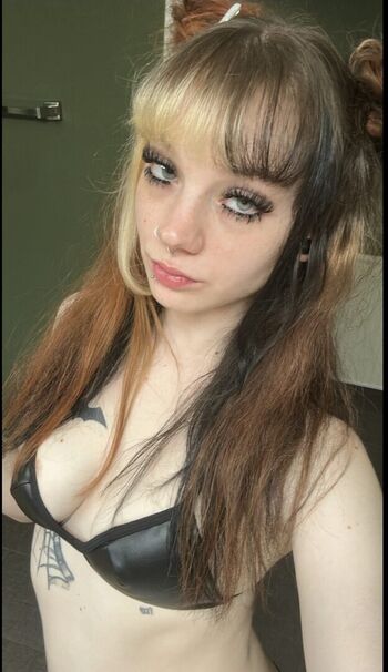 Alexsfunhouse3 image