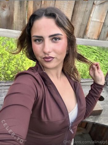 Alinajgd image