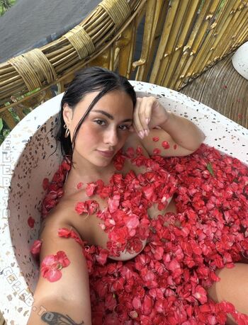 Alissa palazzolo image