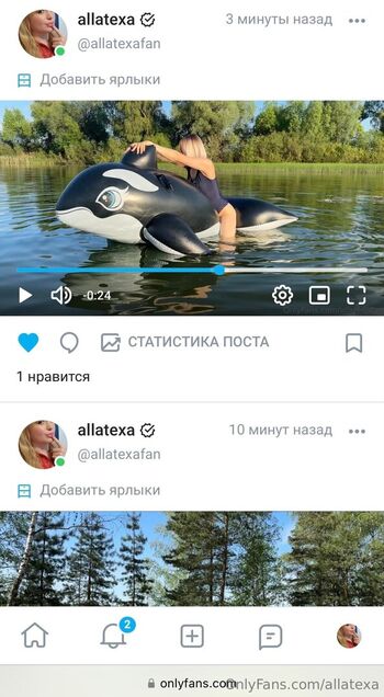 allatexa
