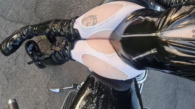 Allmyheartbear page 3 image