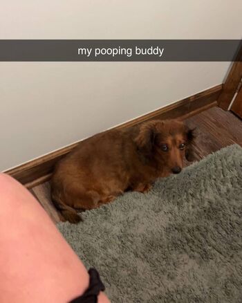 Alyssaholmes6969 page 2 image