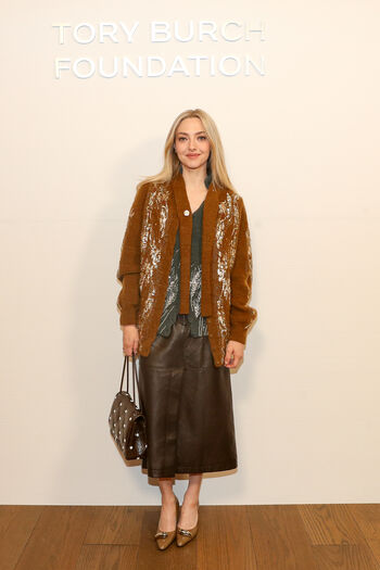 Amanda seyfried 1 image