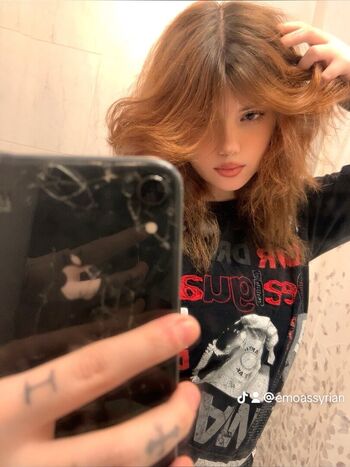 Amanderinn page 2 image