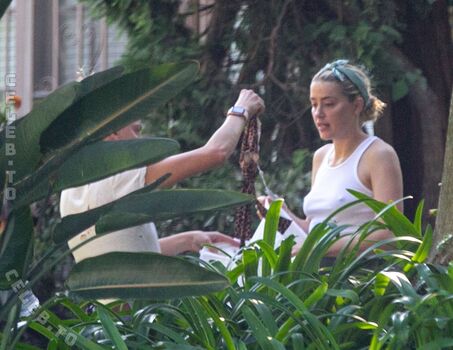 Amber heard 1 page 3 image