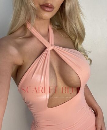 Amber valentine image