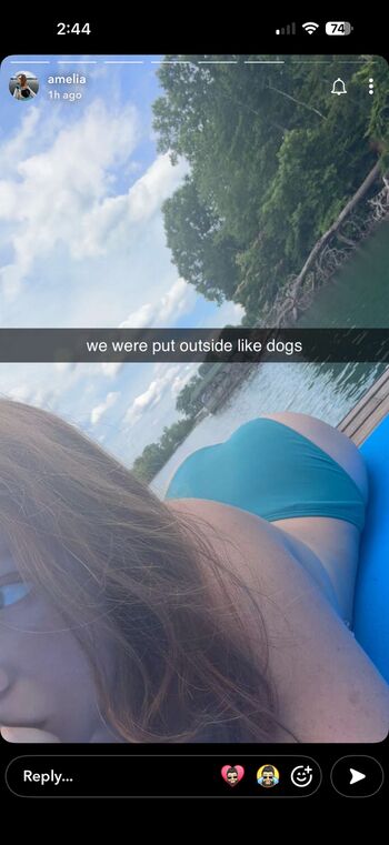Ame gingy image