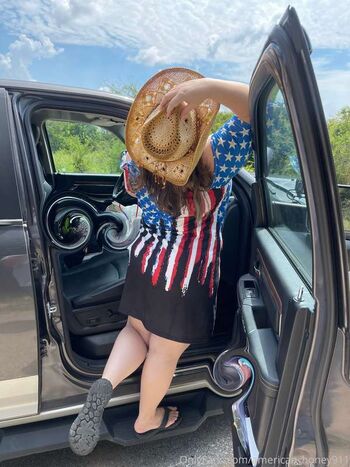American honey image