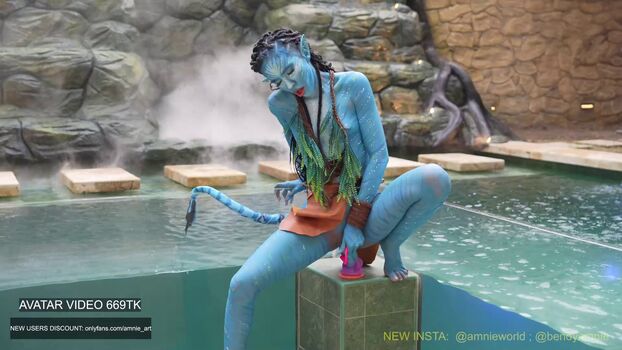 Amniemodel image