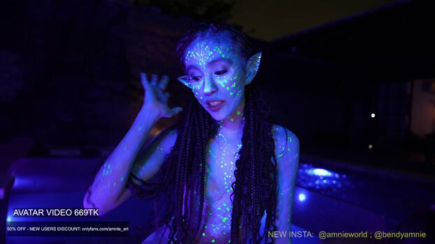 Amniemodel image