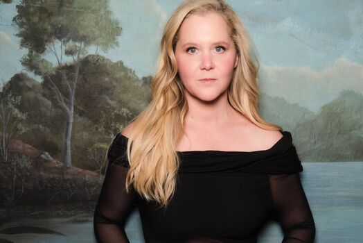 Amy schumer 1 image