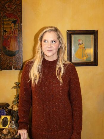 Amy schumer 1 image