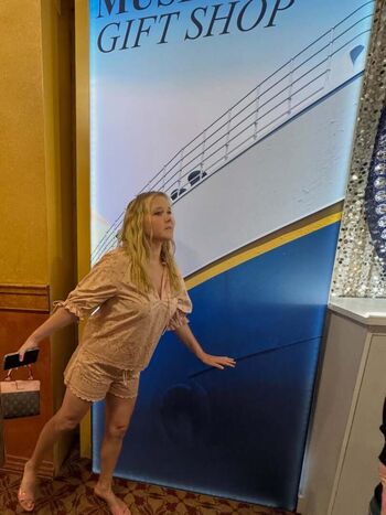 Amy schumer 1 image