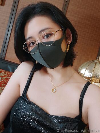 Anaimiya 1 image