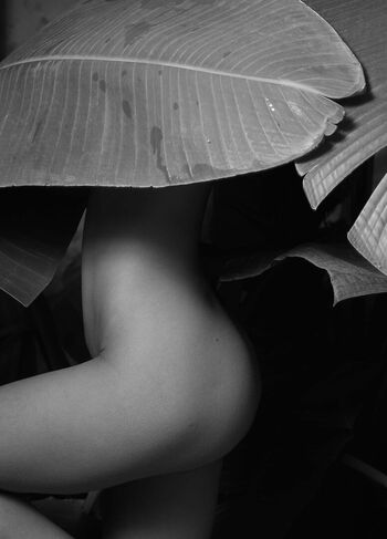 Anastasiia zakharenko 1 page 2 image