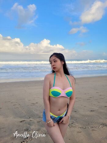 Ancilla olivia image