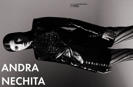 Andra nechita image