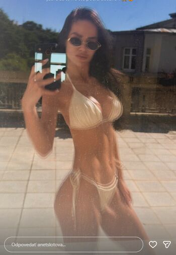 Anet slotova image