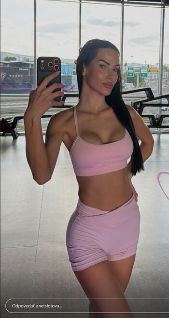 Anet slotova image