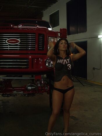 Angelica curves image