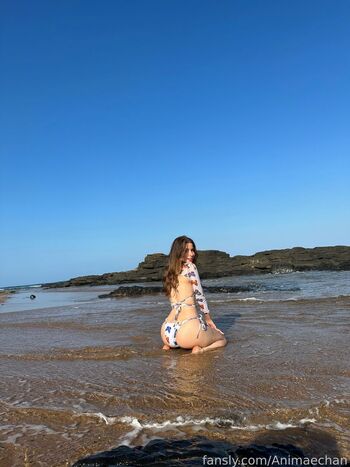 Animaechan page 4 image