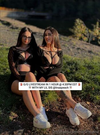 Anitta hardener image