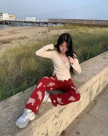 Anjooneena page 2 image