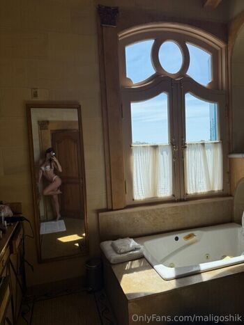 Anna malyg0n 1 page 5 image