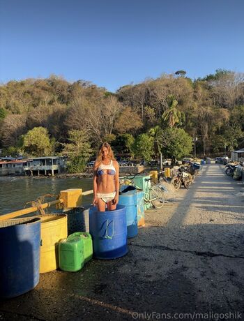 Anna malyg0n 1 page 2 image