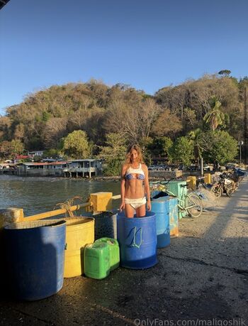 Anna malyg0n 1 page 2 image