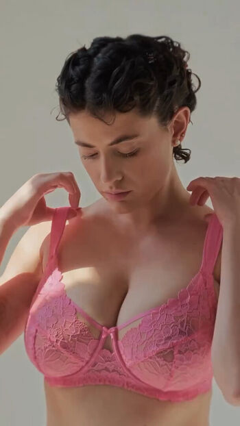 Anna pittureri image