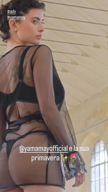Anna pittureri image