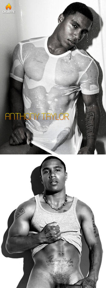 Anthony taylor image