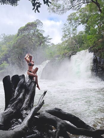 April rose page 2 image