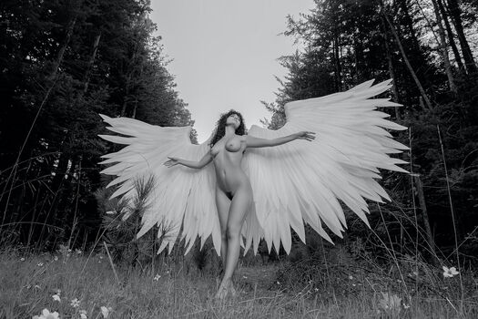 Aranza image