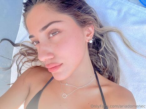 Aria domenec image