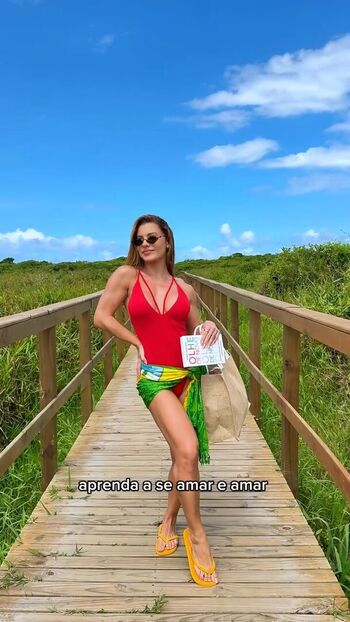 Aricia silva image
