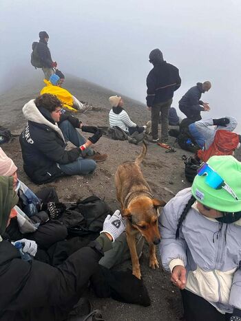 Arienne monteclar image