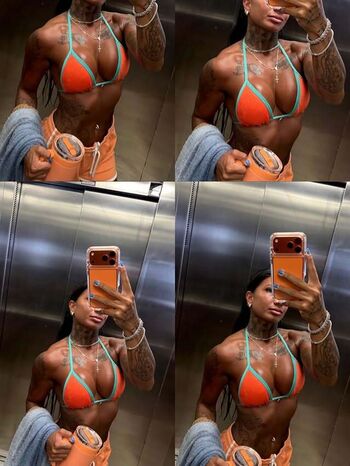 Aryadne abranches image