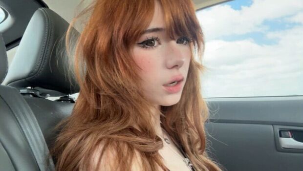 Ashisbees image